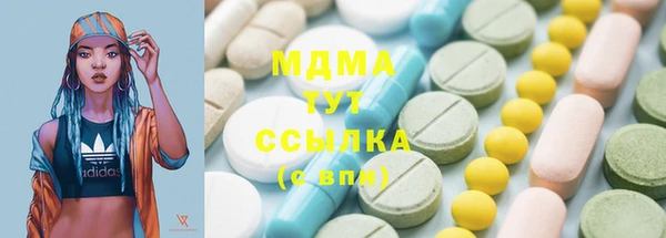 хмурый Арсеньев