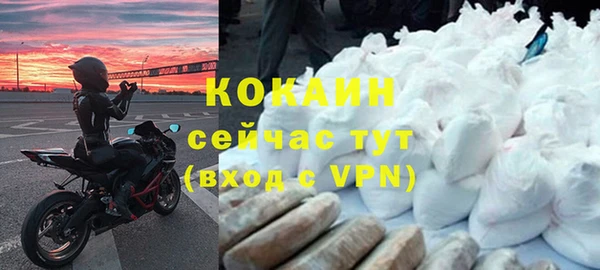 хмурый Арсеньев