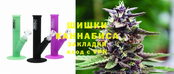 хмурый Арсеньев