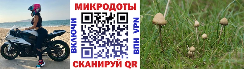 Галлюциногенные грибы Cubensis  Красный Холм 